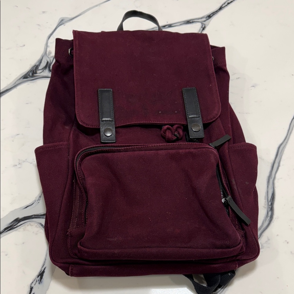 Everlane burgundy backpack
